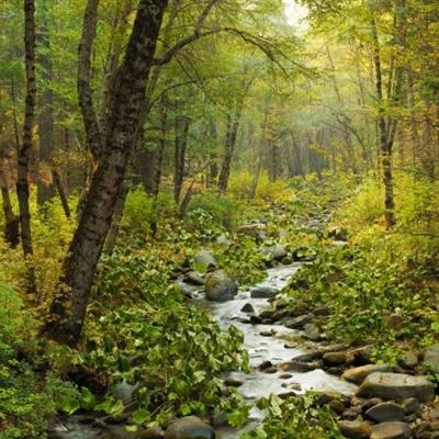 乐东房价多少钱一平米截图